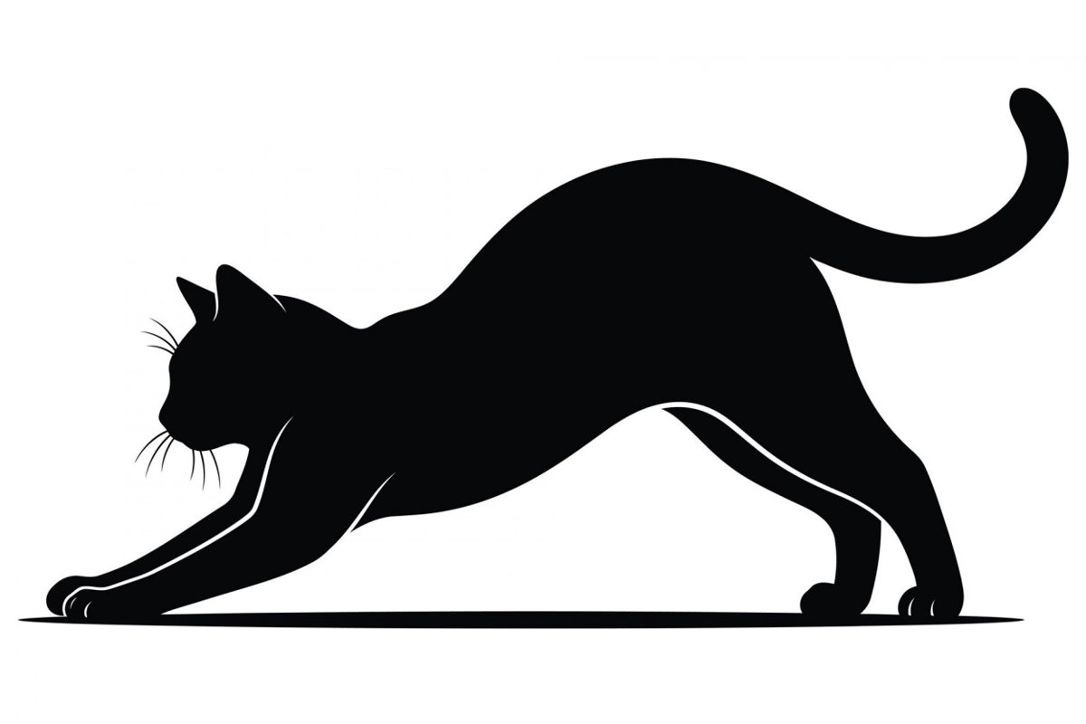 【獣医師監修】ハバリってどんな猫？特徴や性格から飼う前の注意点・価格相場まで徹底解説