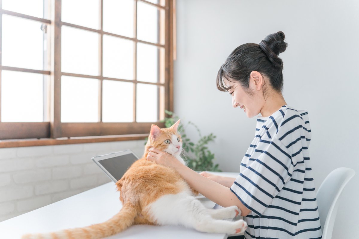 猫が急に『赤ちゃん返り』をする原因5つ　妙に甘えてくるのはなぜ？上手な対処法も解説