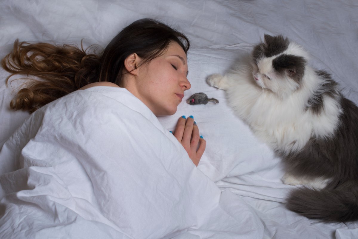 猫が『ありがとう』と伝えているときのサイン4選　よく見られる場面や応え方のポイントも