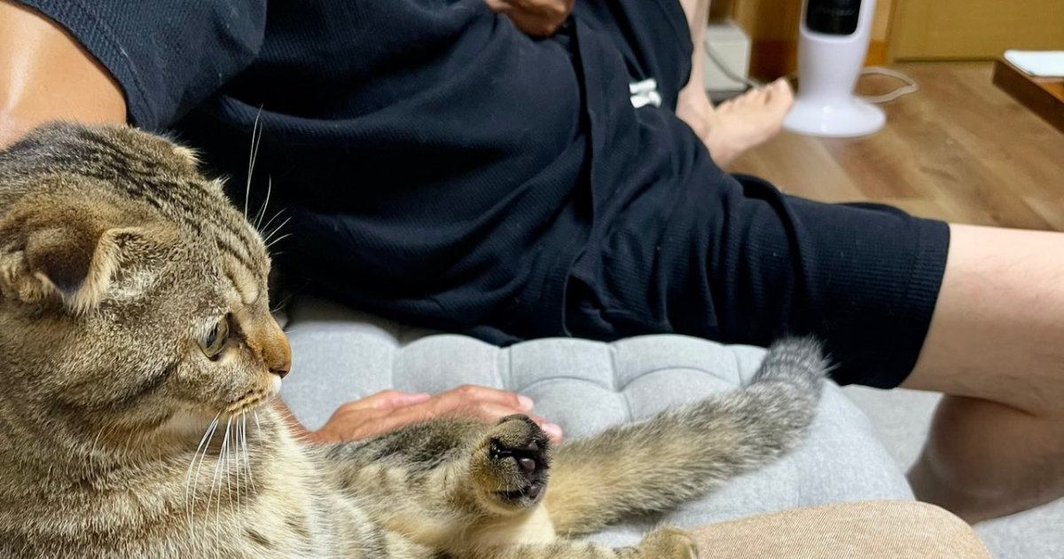 ソファでくつろいでいた『猫とお父さん』を見たら…思わず撮影した『まさかの瞬間』に４万いいね「座り方よｗ」「シンクロしてて笑った」