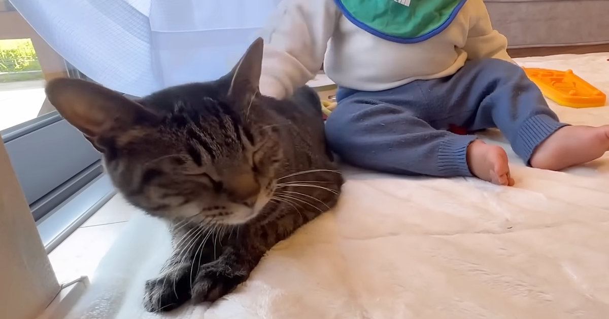 大好きな優しい猫を発見した赤ちゃん→『急接近』して……胸がいっぱいになる『尊い光景』に反響「涙が出てくる」「疲れた心が癒された」