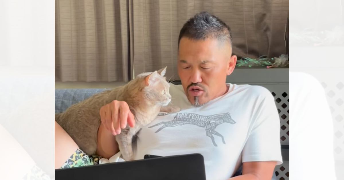 仕事中のお父さんにべったりの猫→『邪魔だなぁ』と言われると……思わず笑っちゃうやり取りの様子が19万再生「言葉分かってて可愛いｗ」