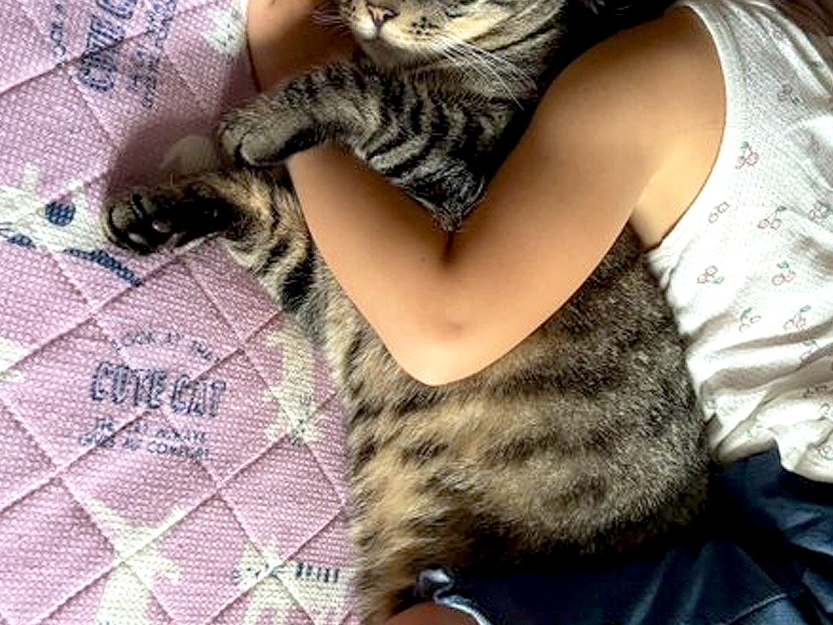 寝ぼけた女の子が猫を『抱き枕』と勘違いした結果…あまりにも尊い『まさかの光景』が373表示「まんざらでもなさそう」「表情がｗｗｗ」