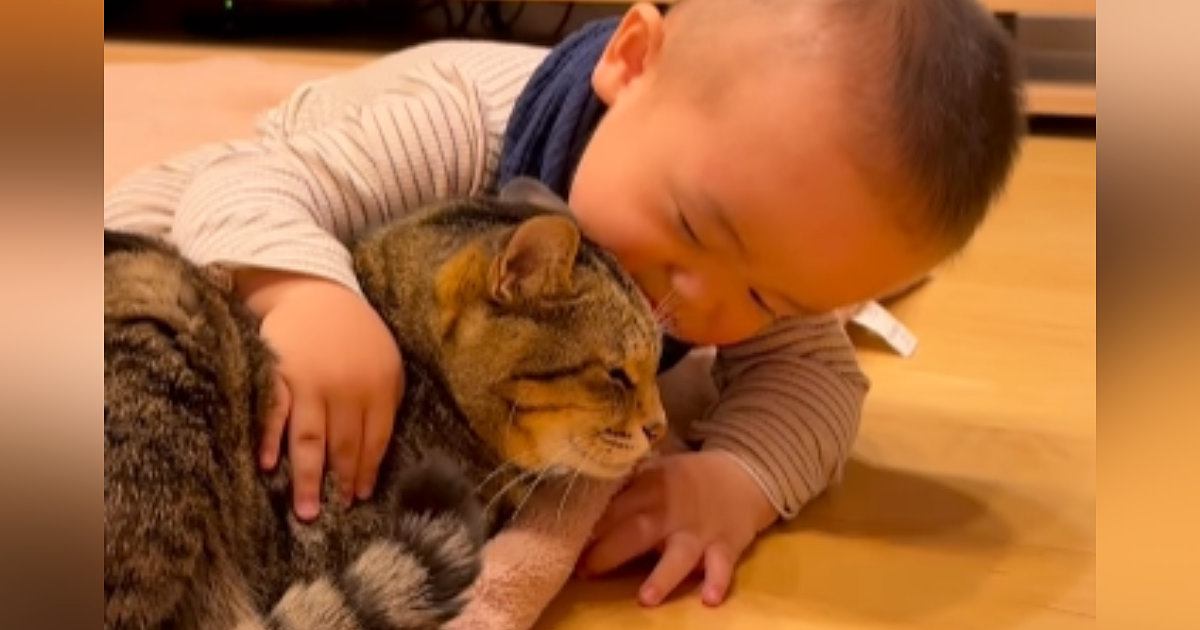猫のことが大好きな『1歳の赤ちゃん』→頭を近づけて『スリスリ』し始めると…爆笑の展開が206万再生「完全に猫変態ｗ」「100点ｗ」