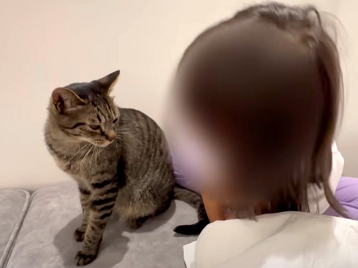 小さい女の子が“なかよしの愛猫”の元気がないことに気がついて…あまりにも『優しすぎる行動』に「見てるだけで幸せ」「ほんといいコンビ」
