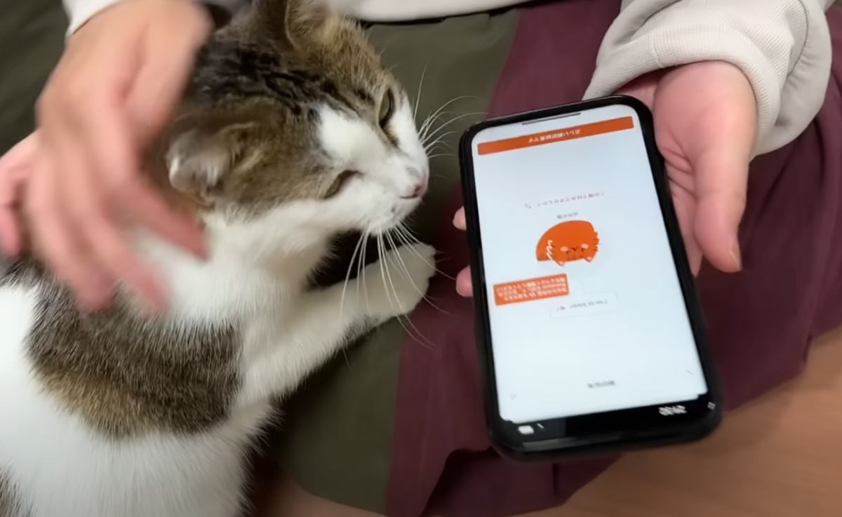 よくお喋りしてくれる元野良猫→話している内容が気になって『翻訳アプリ』を使ってみた結果が…まさかの発言に「幸せそう」「ラブが溢れてる」