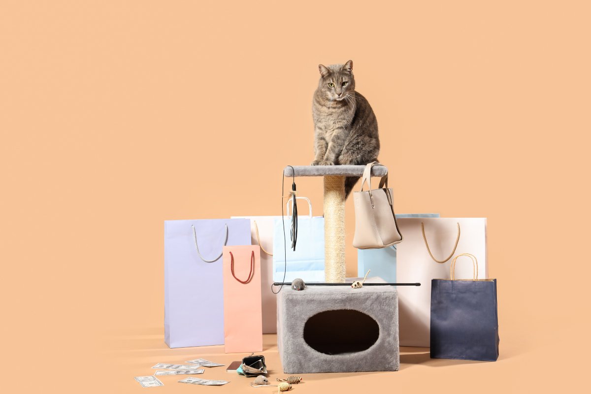猫の飼い主が『買ってから後悔』しやすいアイテム5選　失敗しがちな原因や選び方のコツ