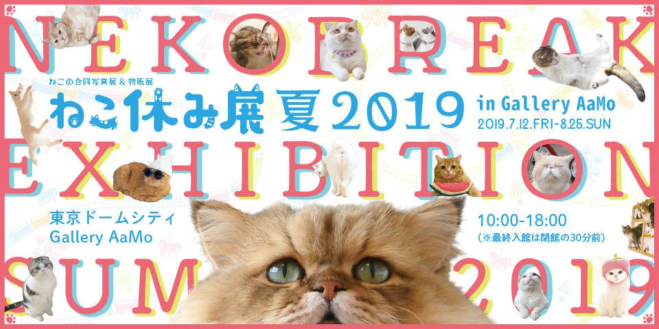 初のお化け屋敷も登場！？ねこ休み展2019夏が東京ドームシティで開催