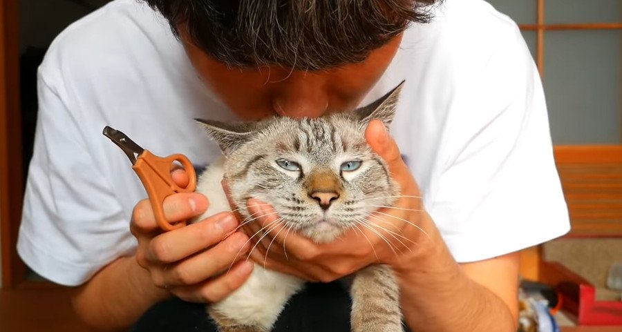 爪切りを前に猫ちゃんは…？