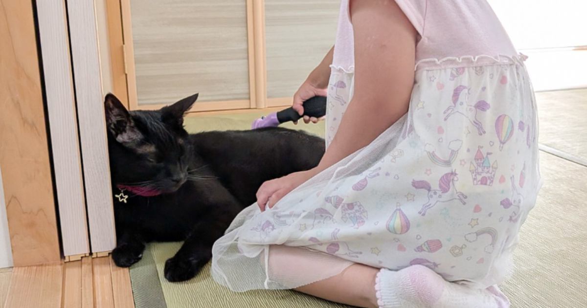 4歳の女の子がブラシを手に持つと、黒猫が寄ってきて……心温まる『尊いやりとりの光景』が23万表示「最高にほっこりした」「いいお顔」