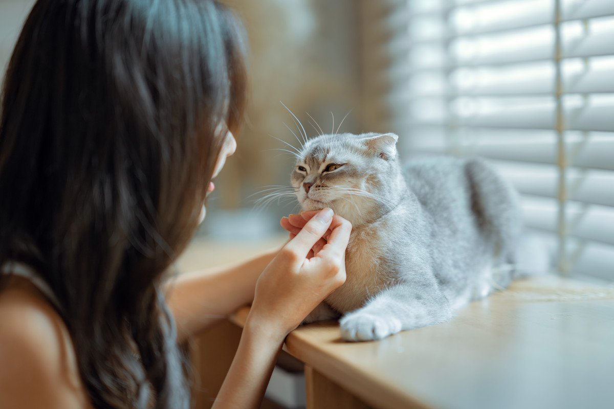 猫と飼い主さんが『一緒に健康になれる』5つの行為　猫のおかげで身も心も元気に？