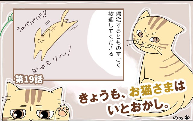 きょうも、お猫さまはいとをかし。【第19話】「勘違いするなよ」