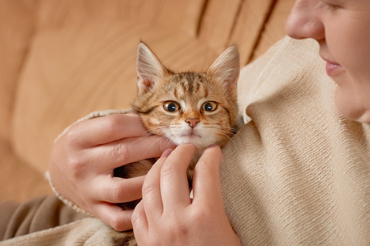 猫が『ドン引き』してしまう飼い主の行動6つ