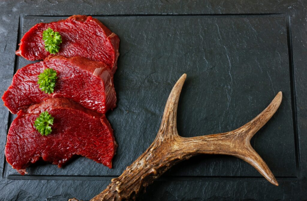 【獣医師監修】猫は鹿肉を食べても大丈夫！主な栄養素と与える際の注意点、アレルギーなどのリスクまで解説