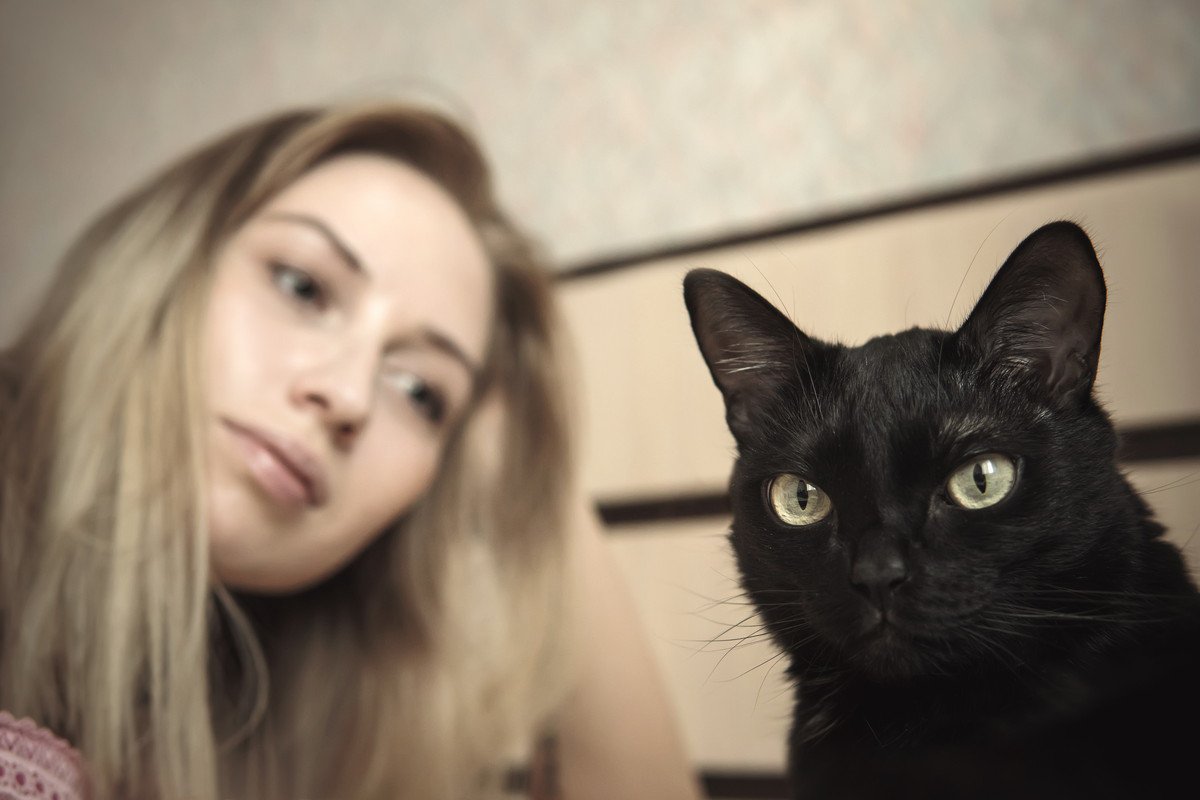 猫と気まずくなったときに『仲直り』する方法3つ　機嫌を直してもらうコツや上手な歩み寄り方