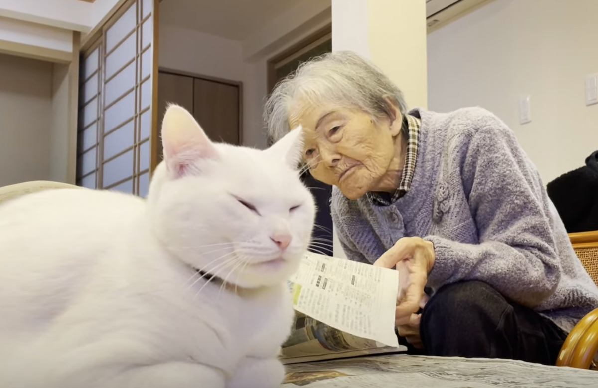 おばあちゃんが新聞を読んでいたら、猫が……『構ってほしそうな様子』が可愛すぎると笑顔になる人続出「ホッコリした」「相性がいいんだね」