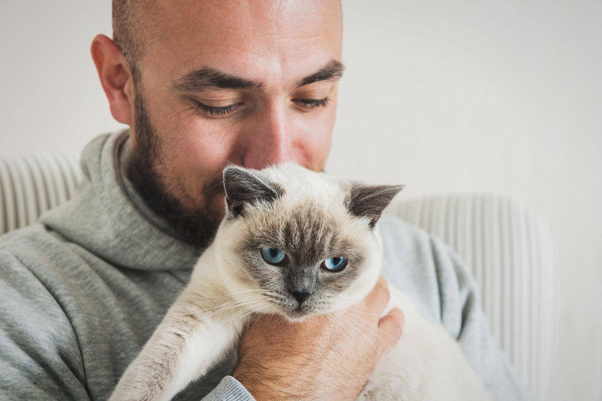 猫の飼い主さん注意を！『日常生活』で見落としがちな危険リスク6つ