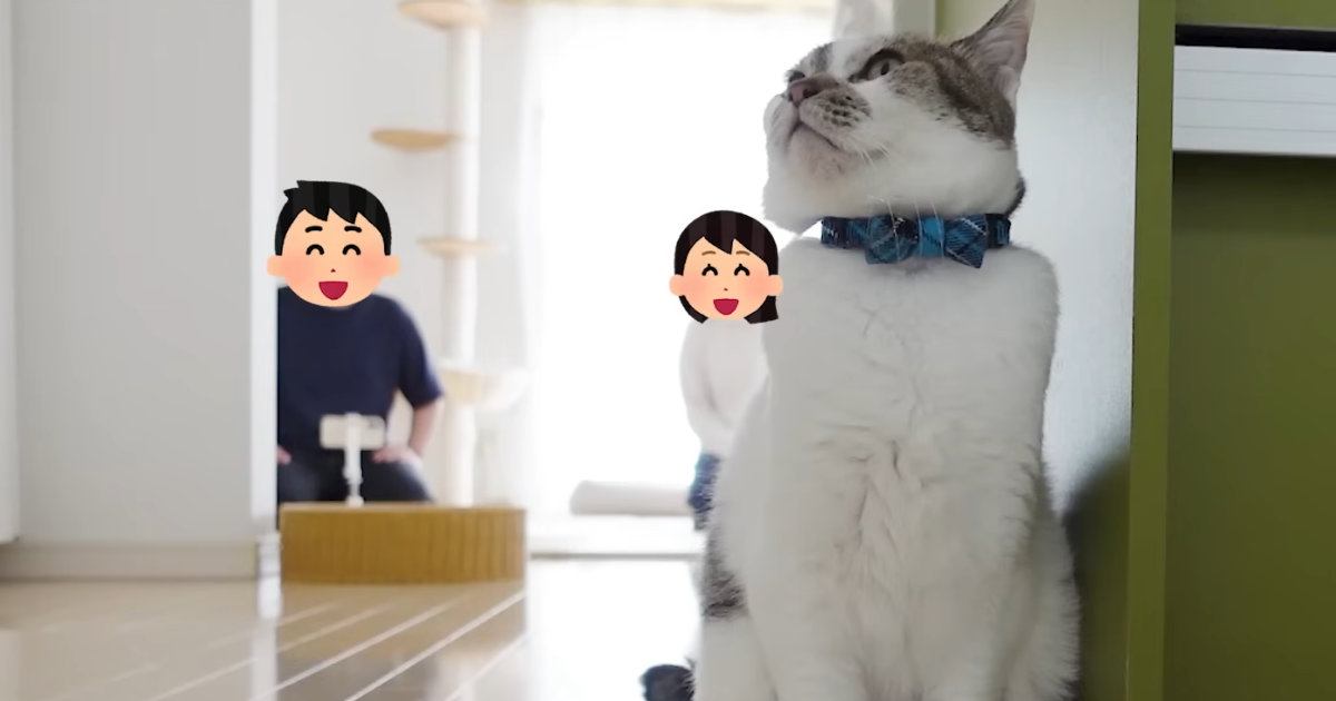 猫はパパとママ『どちらを選ぶ？』→同時に呼んでみた結果…笑ってしまう『夫婦バトルの様子』に「なんて平和な戦いｗ」「面白すぎて爆笑」の声