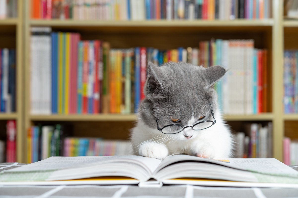 持っていると役立つ『猫にまつわる資格』3選　仕事として必要なものから、知識を深めるためのものまで