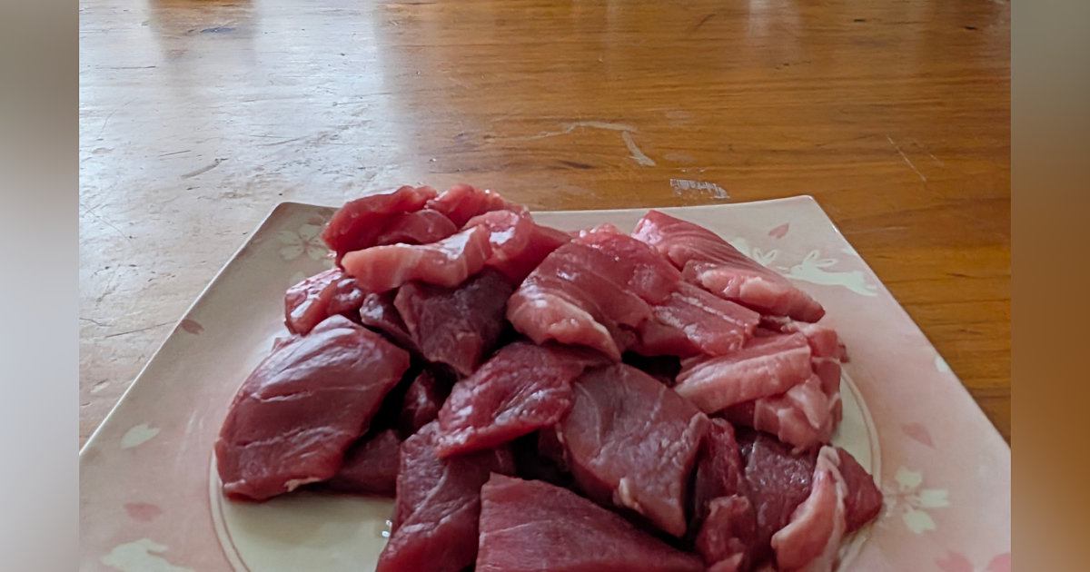 マグロの切り身を食べようと、テーブルの上に置いた結果→『目の前』を見ると…まさかの光景に９万いいね「期待しかない表情ｗ」「圧がすごい」