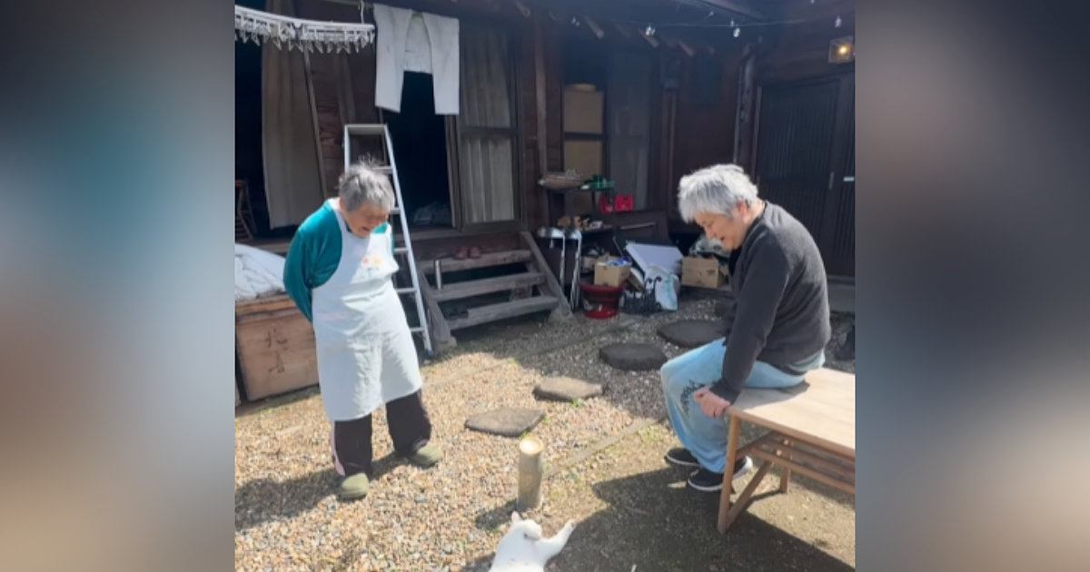 笑顔のおじいちゃんとおばあちゃん→『視線の先』には…元野良猫の『まさかの様子』が610万再生「心配になるレベルｗ」「幸せそうｗ」