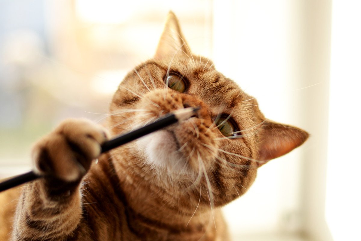 猫にまつわる『慣用句・ことわざ』10選　国内外のおもしろい言い回し、いくつ知っている？