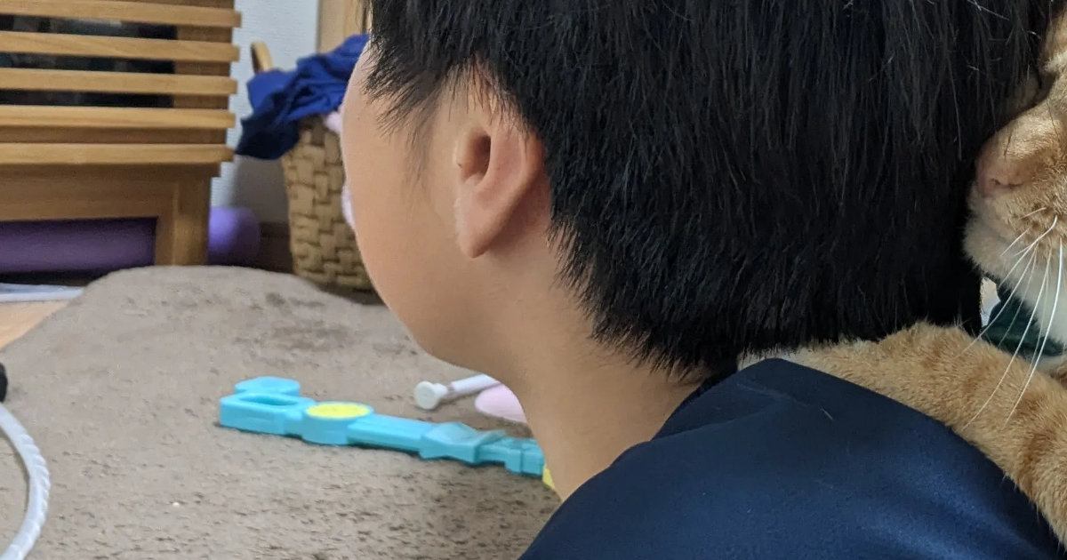 息子の背中を見ると、甘えん坊の『茶トラ猫』が…大好きなのが伝わる『幸せいっぱいな表情』に「愛おしさが溢れてて素敵」「かわいー」と反響