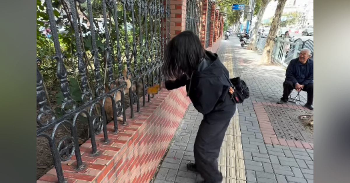 中国の道端でネコと遊んでいたら、『お爺さんが観戦』し始めて…あまりにも微笑ましい瞬間が600万再生「めっちゃほのぼのｗ」「和んだｗ」