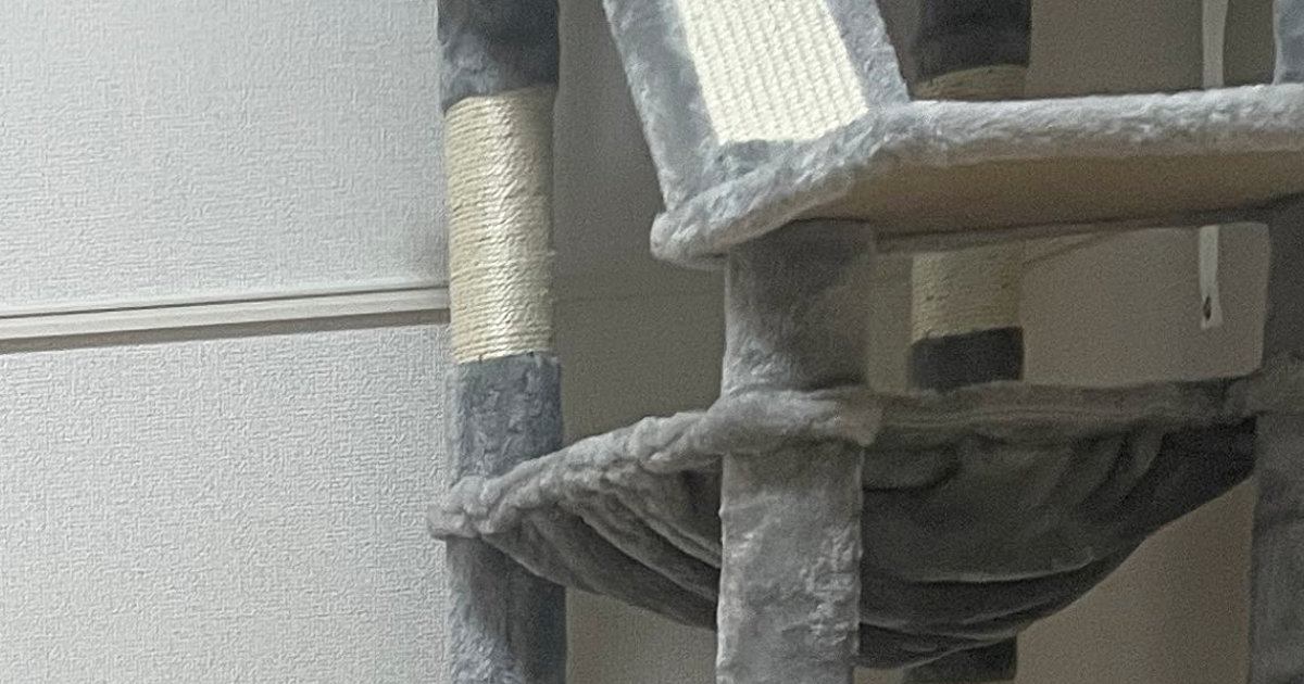 猫のために『豪華なキャットタワー』を用意→遊ぶ姿を楽しみにしていたら…思わず笑ってしまう展開に1万いいね「暑いのかなｗ」「とろけてる」
