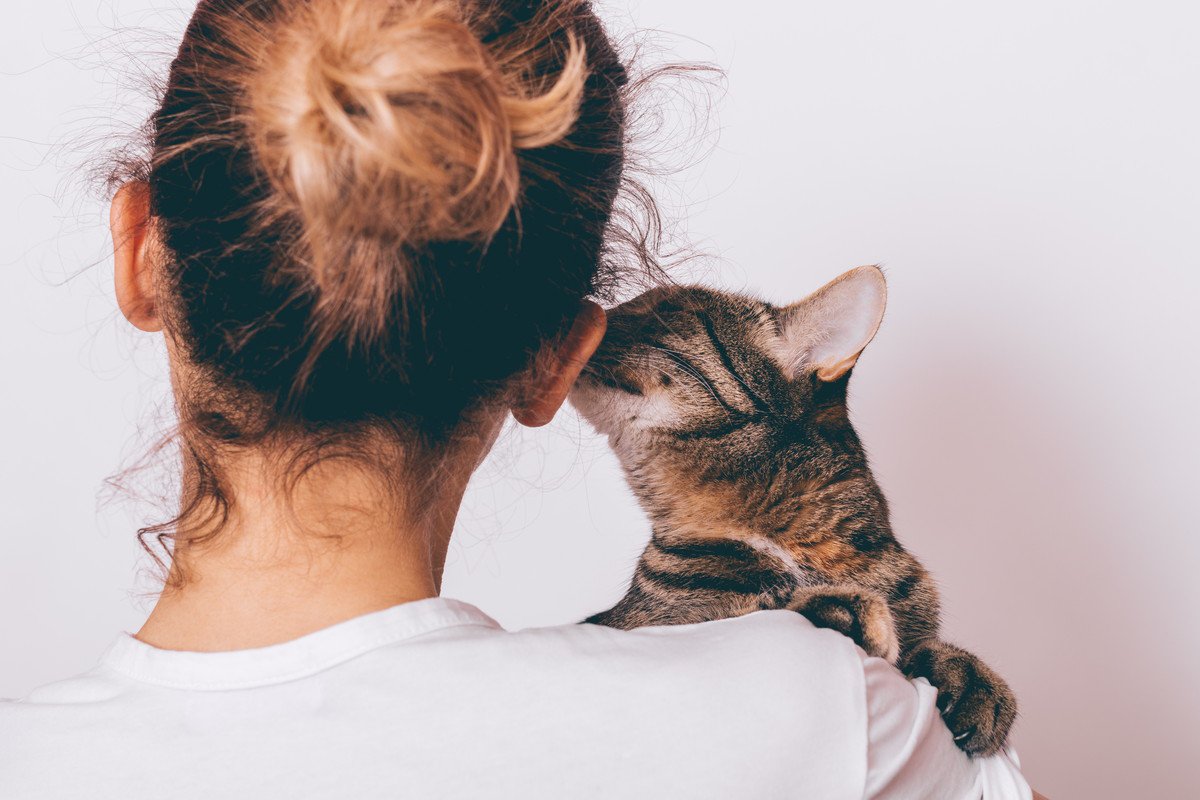 猫があなたの『顔を触ろうとする』理由4つ　考えられる心理や愛猫が喜ぶ応え方まで