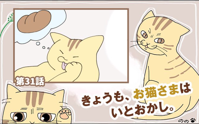 きょうも、お猫さまはいとをかし。【第31話】「伝えたい魅力」