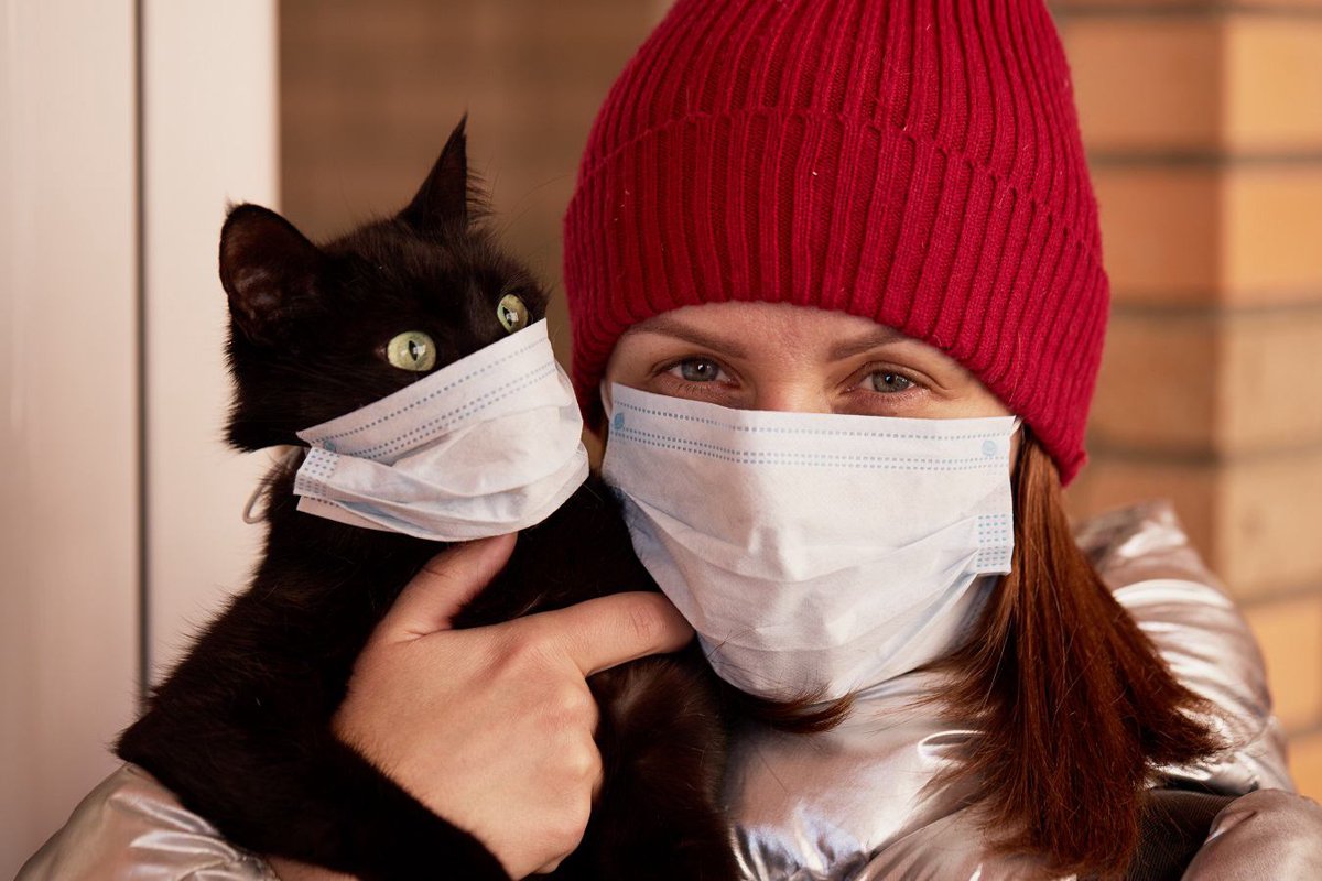 【猫飼いのみなさんへ】万が一の新型コロナ感染に必須の備えをチェック