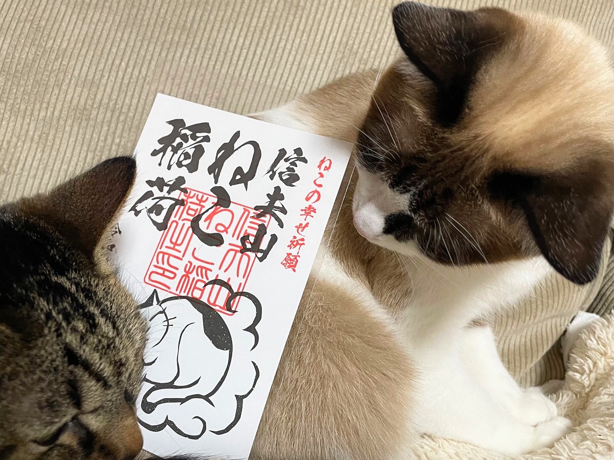 幸運と長寿を願って…猫好きさんに教えたい「猫にまつわるお寺・神社」4選