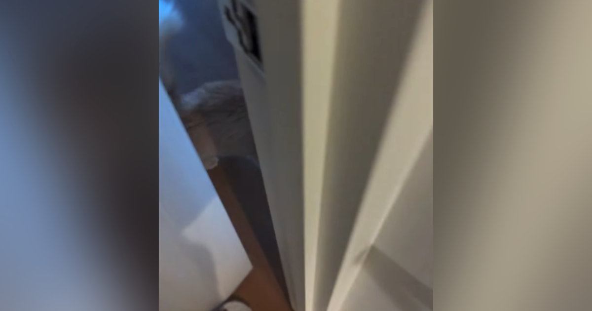 甘えん坊の猫→飼い主さんが部屋のドアを開けた、次の瞬間…まさかの『クセが強すぎるお出迎え』が80万再生「めっちゃ可愛いｗ」「本当に天使」