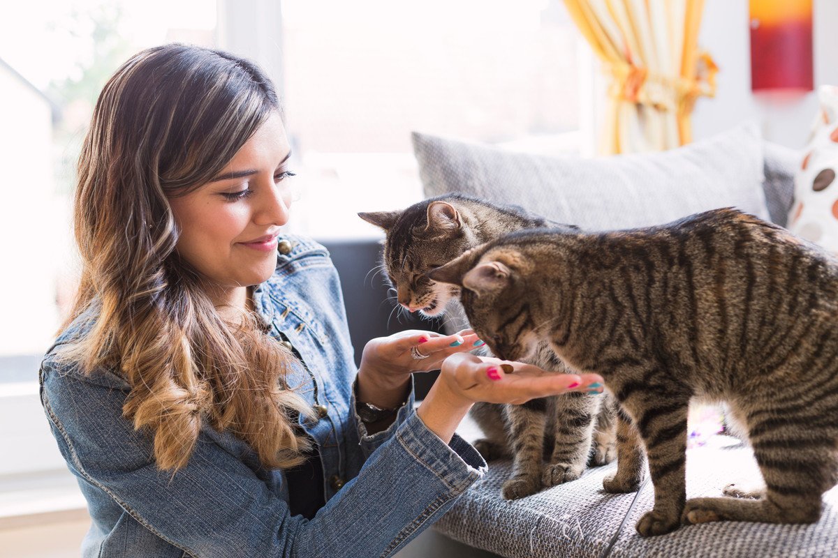 猫の世話をしながら世界旅行！ハウスシッターが楽しむ『宿泊費ゼロ』の旅