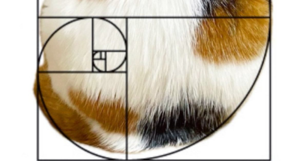 愛猫のボディはなぜ魅力的？→『黄金比』を重ねてみた結果…"想像を超える光景"に９万いいね「う、うつくしい」「たまらにゃい」と絶賛