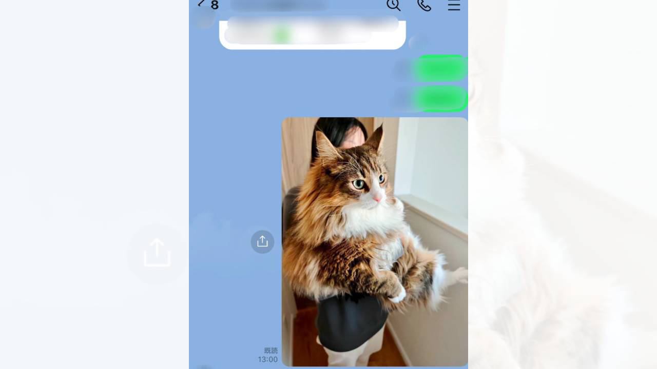 おばあちゃんに『猫が大きくなった』とLINEで報告したら…面白すぎる鋭いツッコミに"爆笑"426万表示「返答がｗ」「ナイスお婆ちゃん」