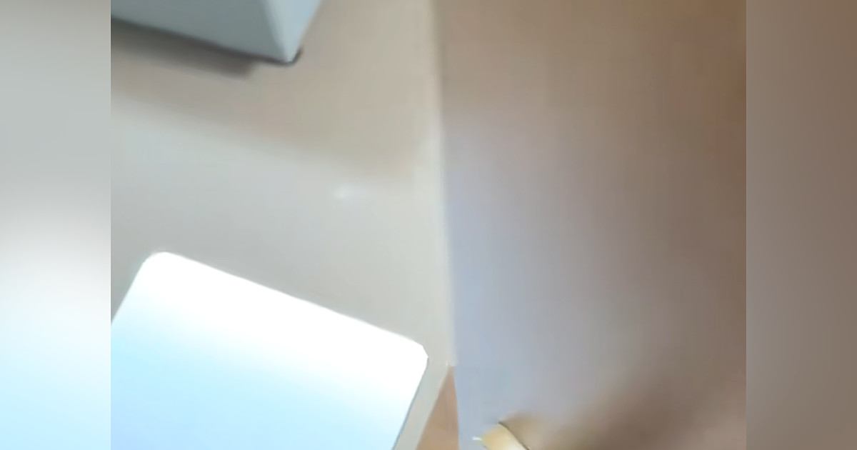 部屋に戻ると、猫が『予想外の場所』に乗っていて…まさかの『お出迎え』が65万再生「よう、相棒って感じｗ」「しんどくなるくらい可愛い」