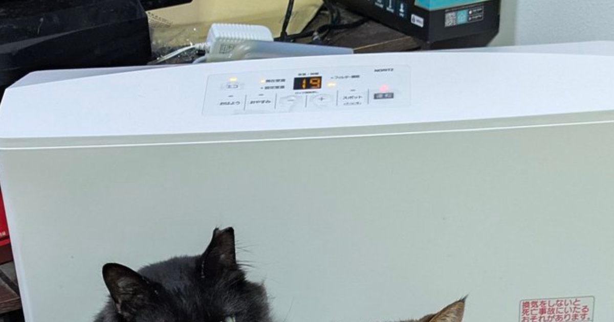 『部屋が暖まらない…』ヒーターの前を見ると→猫たちの可愛すぎる様子がSNSで反響「大集合で笑ったｗ」「心はあったまるよね」と14万表示