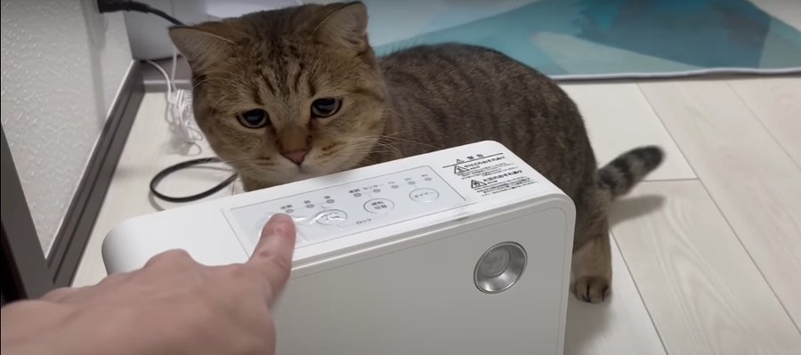 ストーブ求む！ホカホカが欲しい猫ちゃんの圧