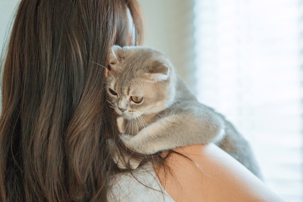 愛猫が『飼い主さんの髪の毛をせっせと舐める』3つの理由　やめさせるには？