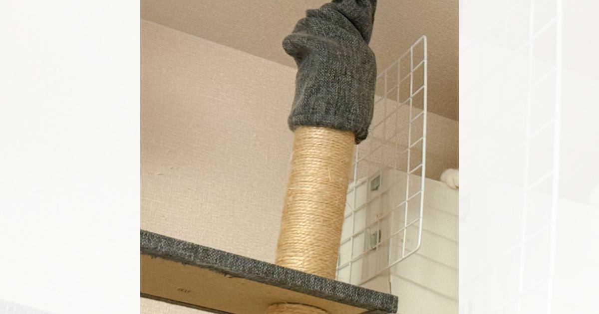 『うっそだろ…』猫が乗らないようにエアコンまわりを封鎖した結果→予想外の『笑っちゃう光景』が２万いいね「壁ジャンプかな」「ドヤ顔ｗ」