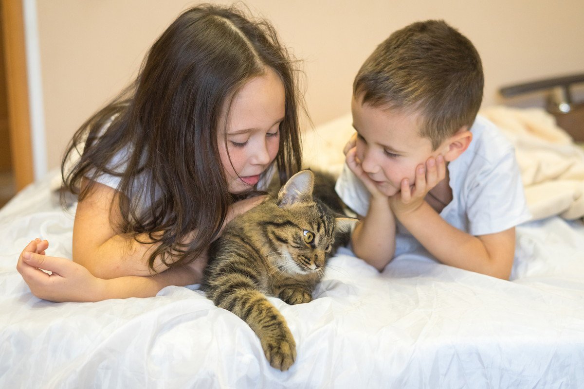 猫の『見た目に変化』が起きる原因5選　表情や毛色などが別猫のように変わる理由とは