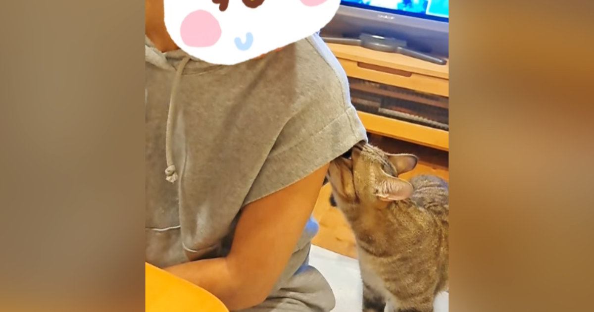 半年ぶりに遊びに来た姪っ子ちゃん→猫が匂いチェックし始めて…次の瞬間『思いもよらない行動』に「あからさまｗ」「爆笑」と12万再生