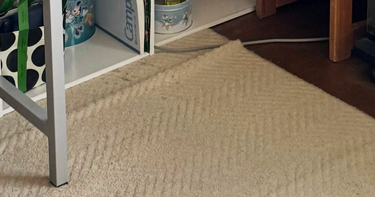 猫の姿が見当たらない→全力で探していると…ようやく発見した『意外な場所』に「すごい馴染んでるｗ」「かくれんぼの達人」と反響