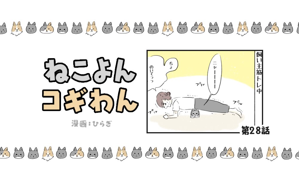 ねこよんコギわん【第28話】「筋トレ②」