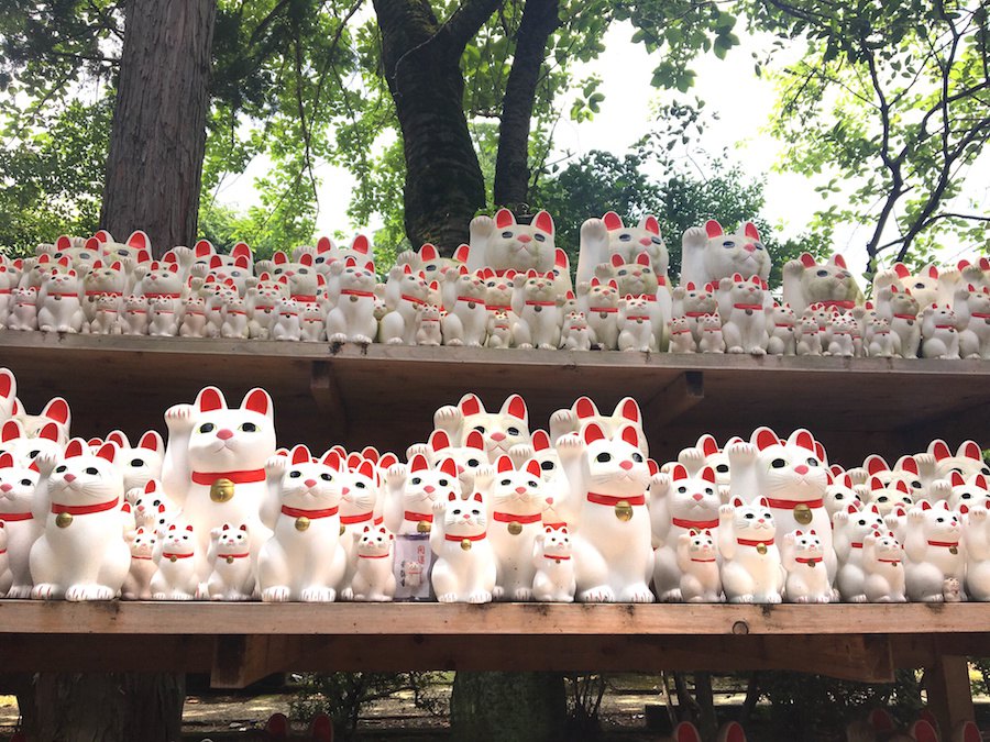 豪徳寺の招き猫の値段や大きさ、購入方法