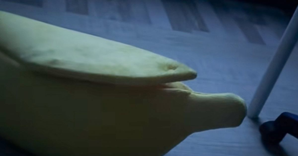 バナナ型のベッドに入っていたネコ→『名前を呼ぶ』と…まさかの瞬間が可愛すぎると27万再生「果肉が飛び出してきたww」「たまらん」と反響