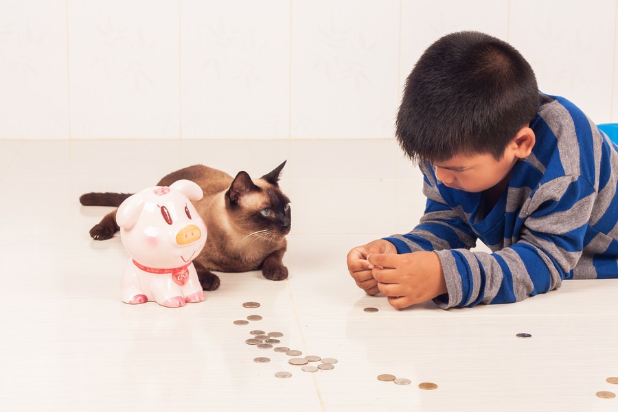 猫の貯金箱おすすめ人気商品5選！海外でも反応がある理由まで