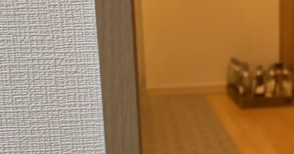 キッチンに並べられた『水の入ったペットボトル』→近づいてみると…予想外の『かわいい光景』が16万再生「満足そうｗ」「たまらなく愛おしい」